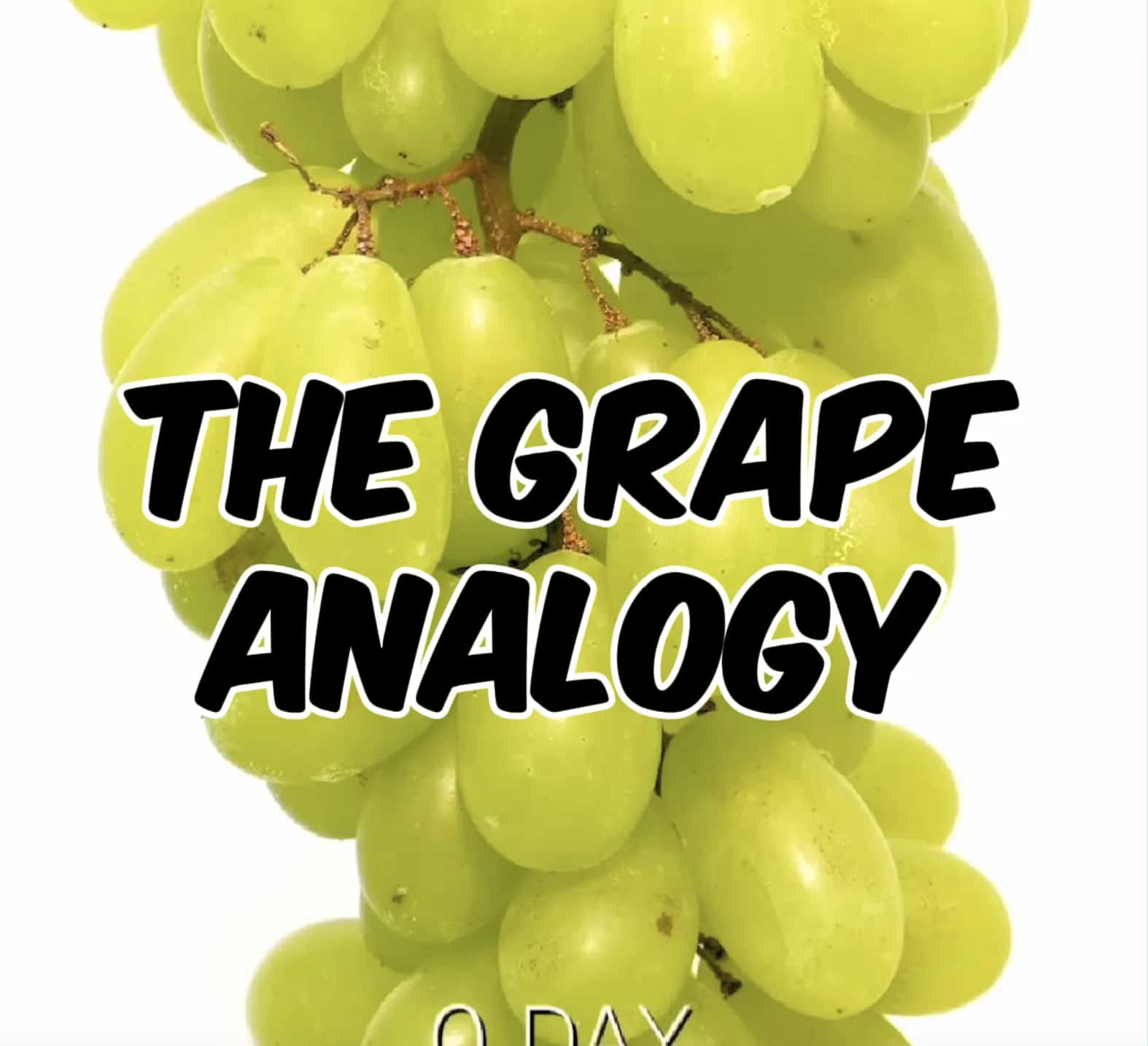 Fresh frozen vs dried cannabis grape and raisin analogy