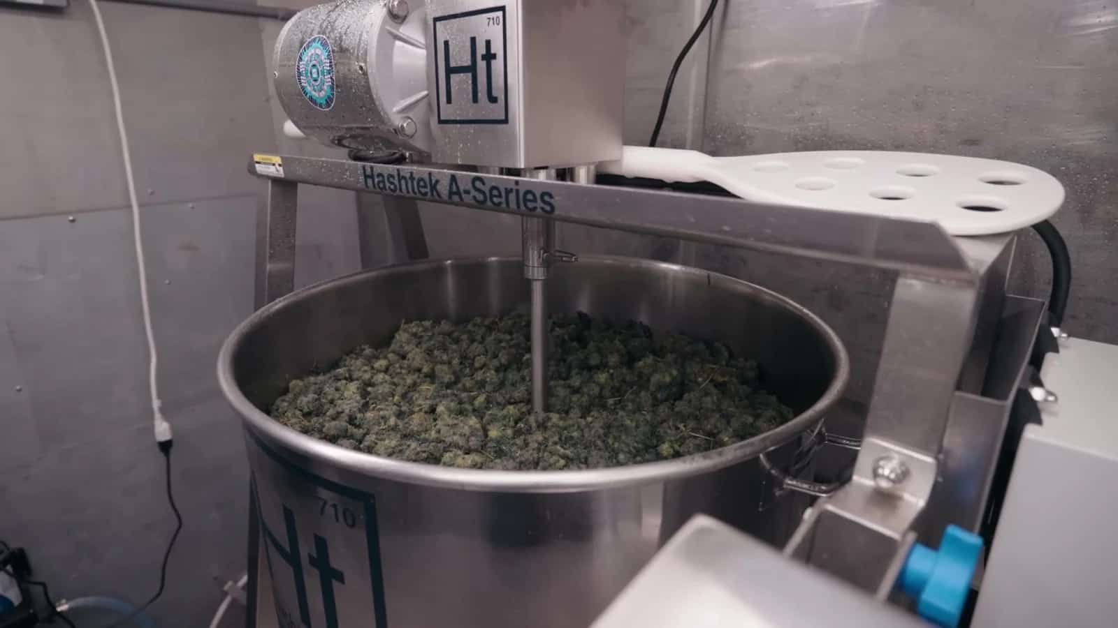 Hashtek A-Series 65A loaded with fresh-frozen Hive at LBR Labs.