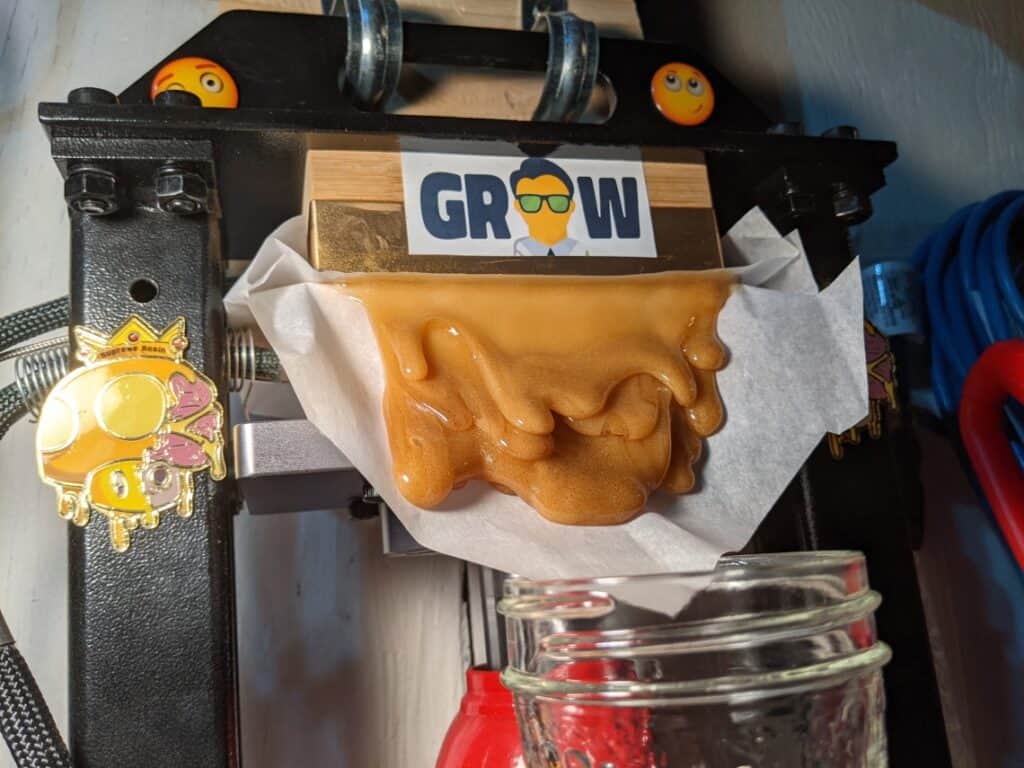 bubble hash being pressed into hash rosin