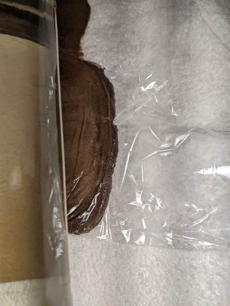 bubble hash melting