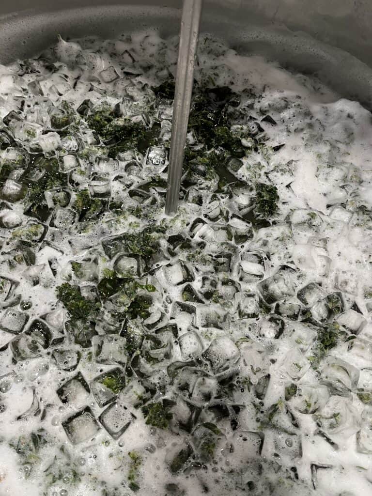 hashtek fresh frozen full melt