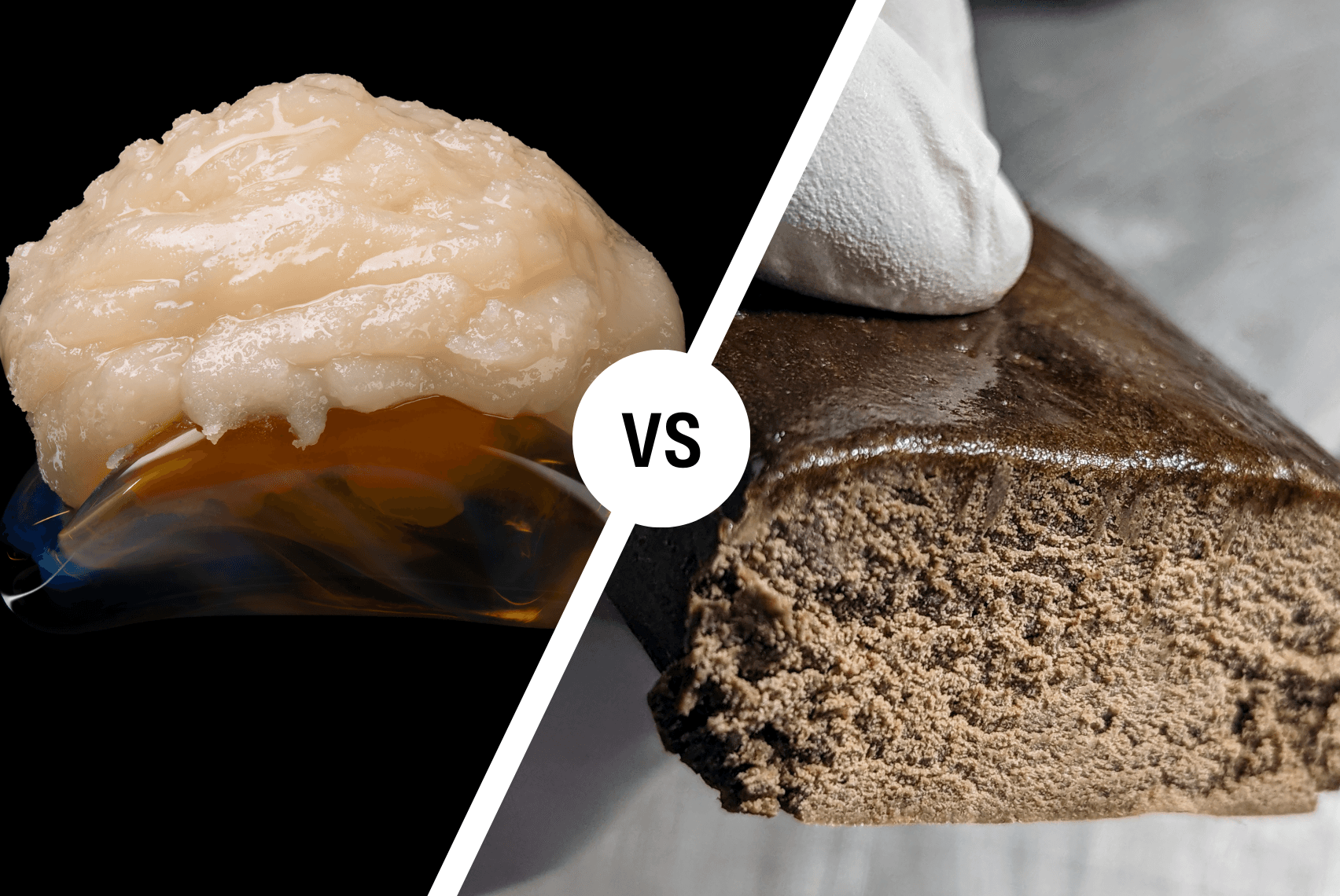 Choosing Between Ice Water & Dry Sift Extraction