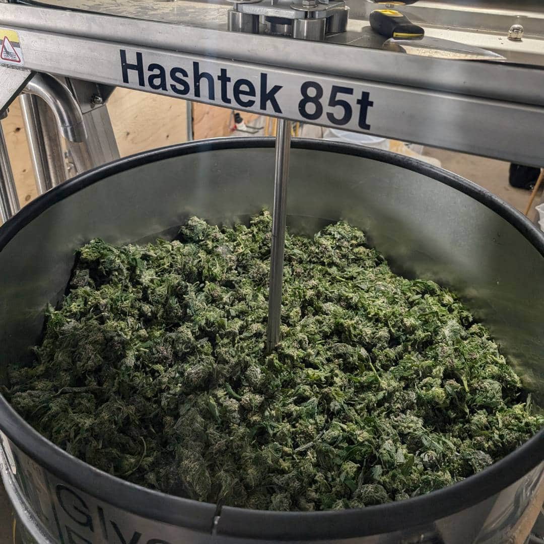 Hashtek system in action 11