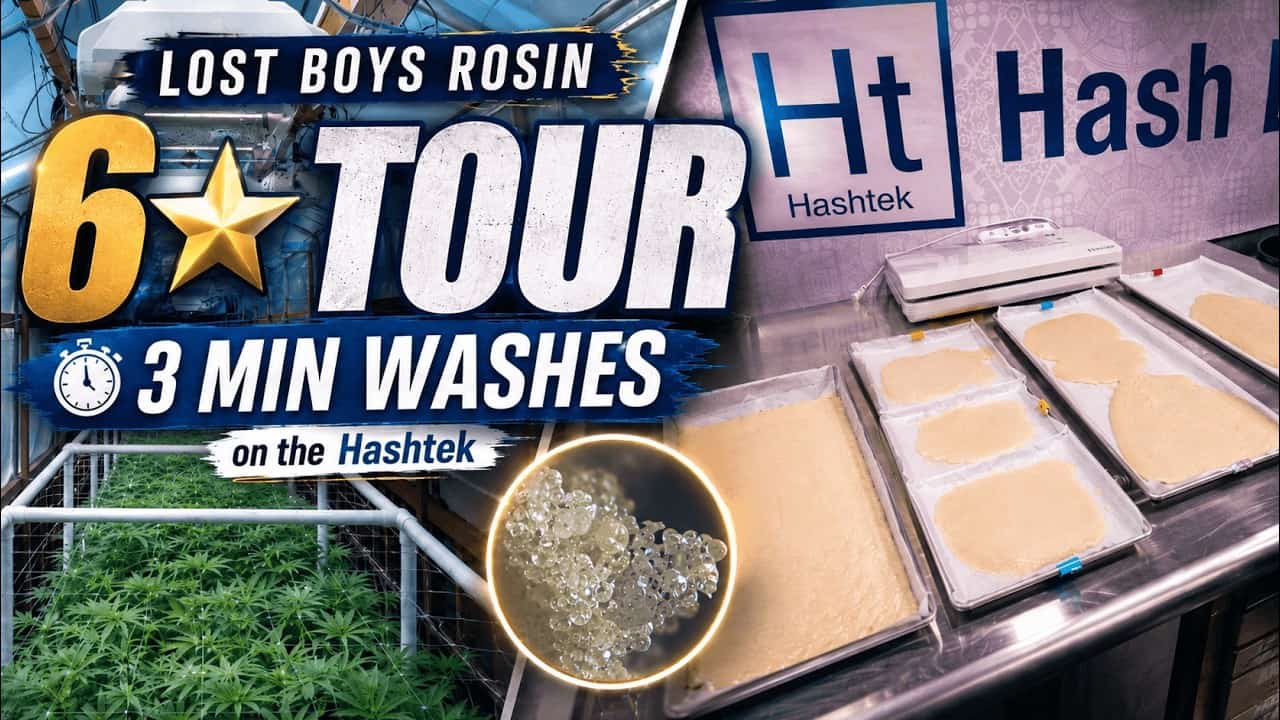 Lost Boys Rosin six-star melt and three-minute wash video on the Hashtek A-Series